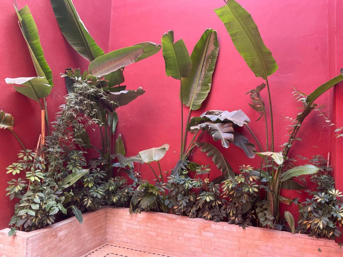 Riad L'Escale De Marrakech Marrakesh Ngoại thất bức ảnh